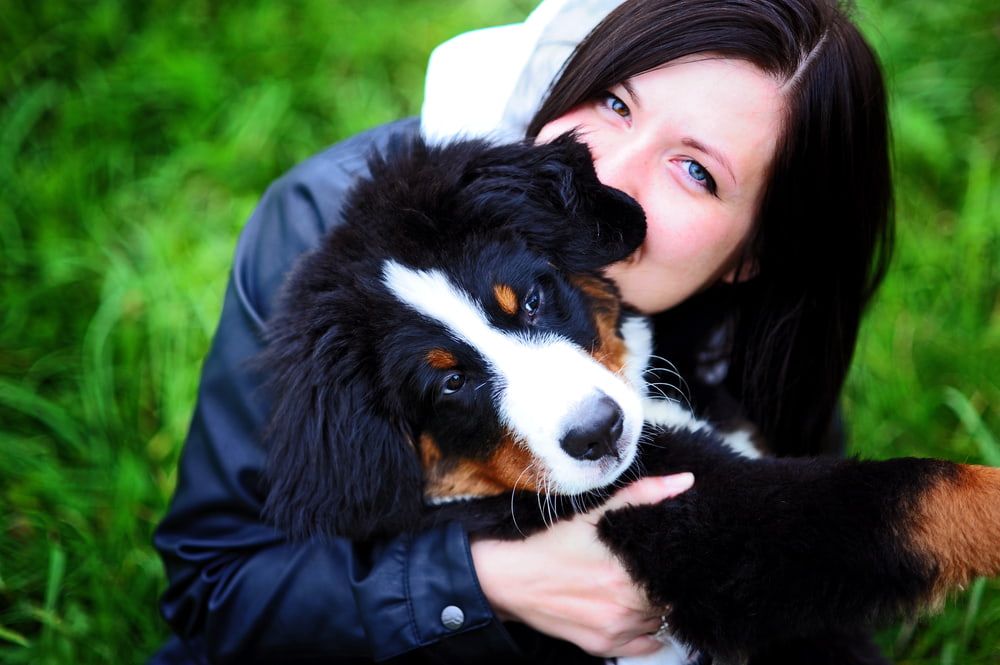 Dog good smell without bath